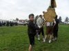 sam_1340